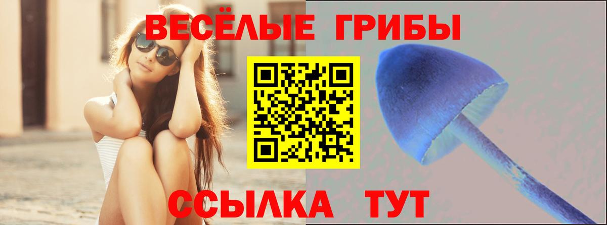Севастополь  Псилоцибиновые грибы Magic Shrooms  где продают   Вход с VPN  Галлюциногенные грибы Psilocybine cubensis 